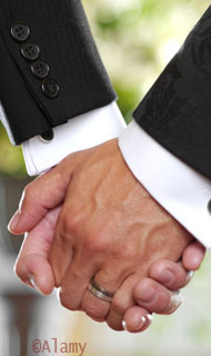 Wedding photo, two hands clasped